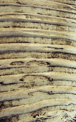 CODAI, CUADROS Y ESPEJOS ARTISTICOS